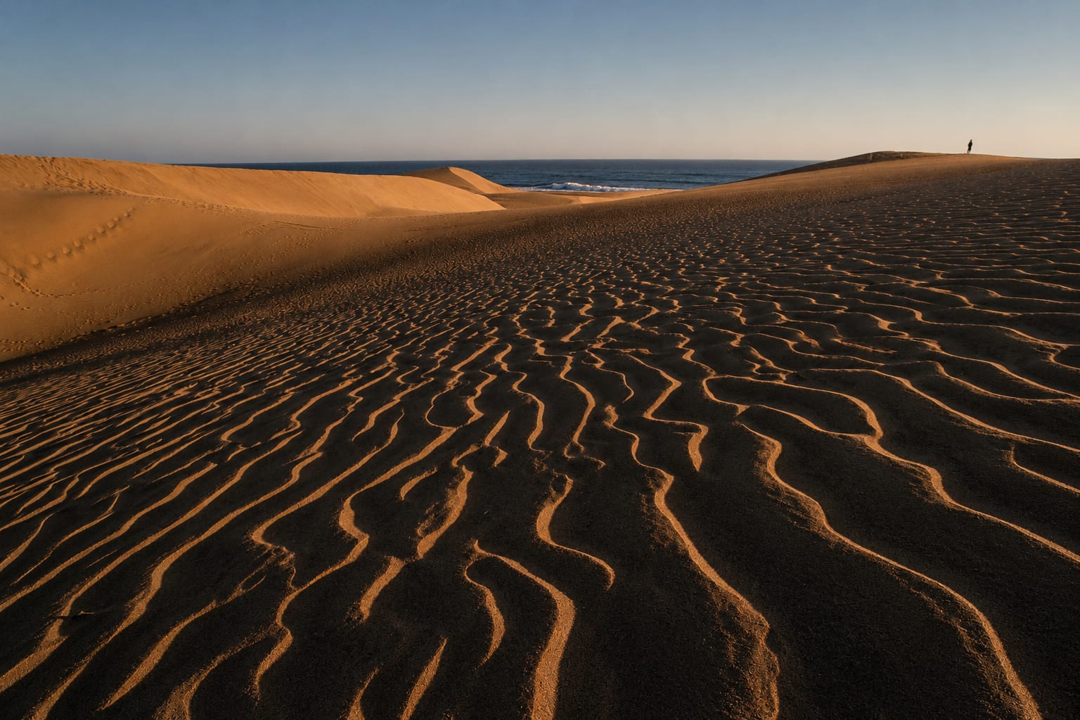 Sand patterns in dunes beside the ocean at sunset