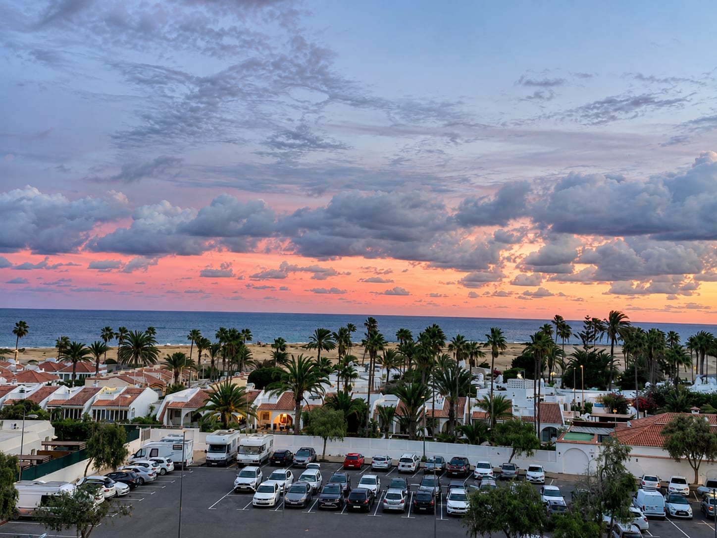 Coastal view with palms, rooftops and a sunset sky