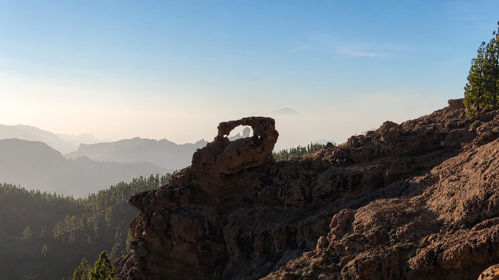 Rocky mountain landscape above a pine forest